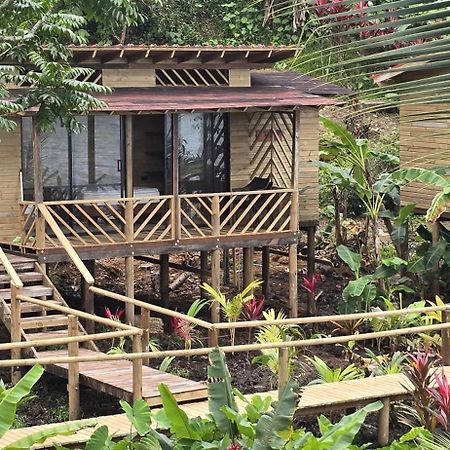 Pacific Nuqui Lodge المظهر الخارجي الصورة