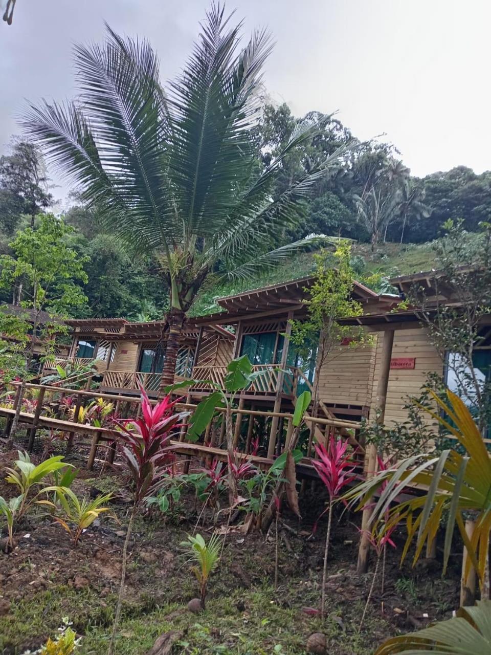 Pacific Nuqui Lodge المظهر الخارجي الصورة